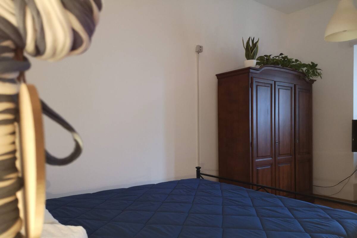 A bedroom with a blue bedspread, a wooden wardrobe, and a potted plant on top.