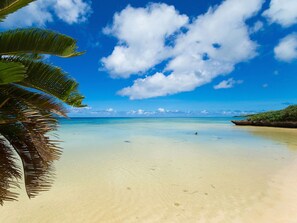 Una playa con agua turquesa cristalina, una orilla de arena y una palmera.