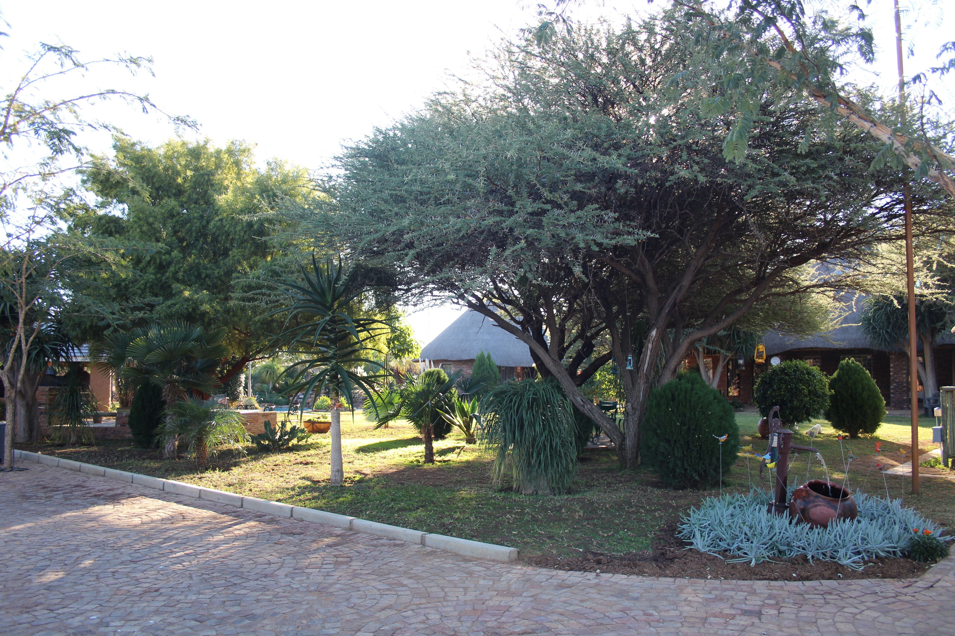 A garden with a variety of trees, a pathway, and a building with a dome roof in the background.