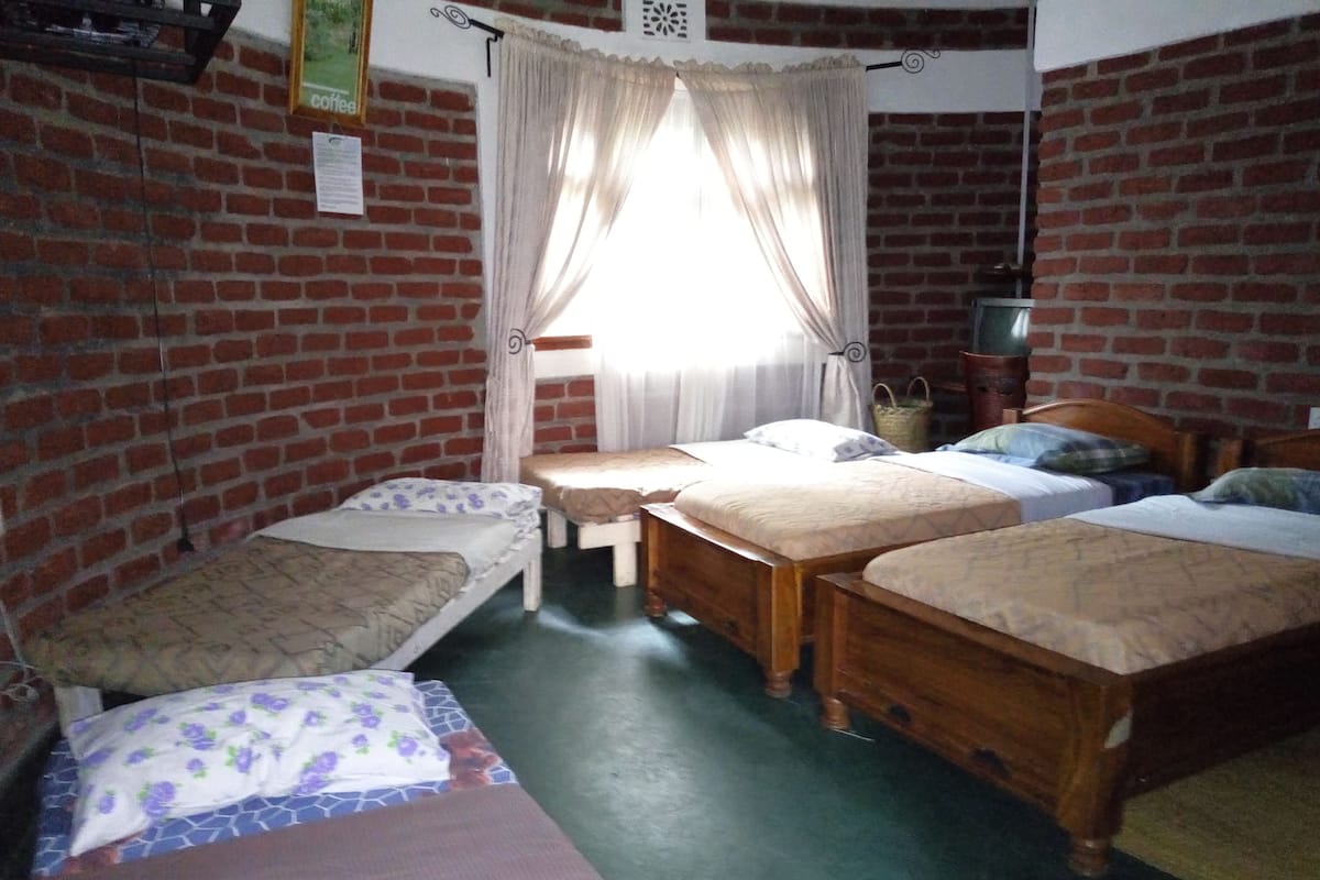 A room with four wooden beds, a brick wall, a window with curtains, and a television on a stand.