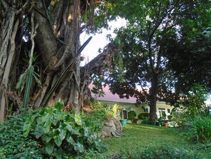 BBQ/picnic Area - Themi Valley Eco  Tourism Homestay (Arusha)