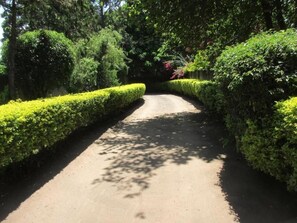 Property grounds - Themi Valley Eco  Tourism Homestay (Arusha)