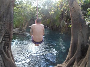 A person walking through a waterway surrounded by trees. - Themi Valley Eco  Tourism Homestay (Arusha)