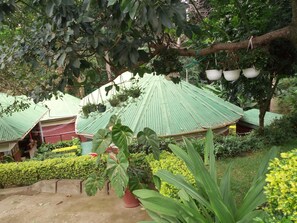 Front of property - Themi Valley Eco  Tourism Homestay (Arusha)