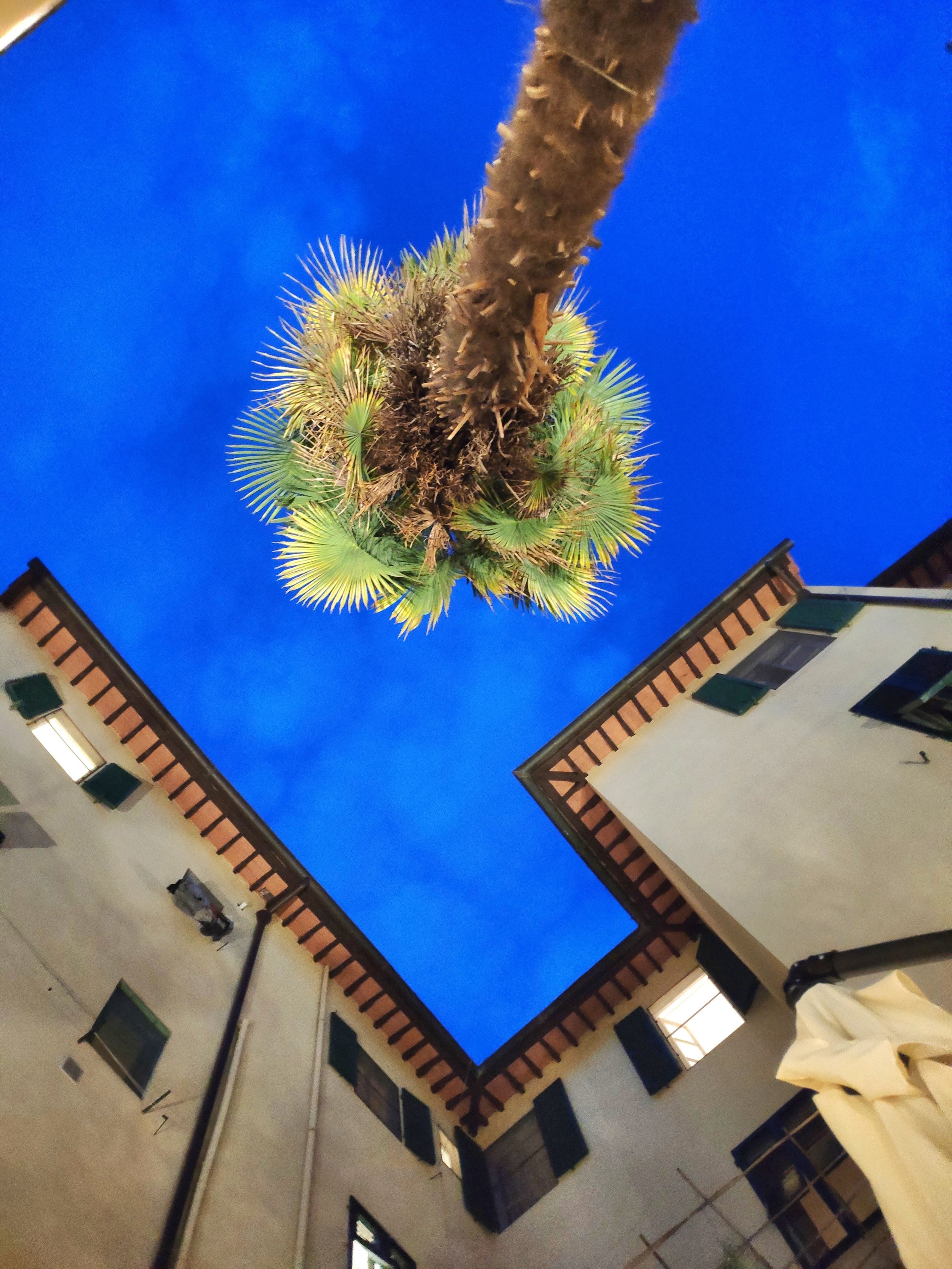 Photo - Ricasoli Garden Relais