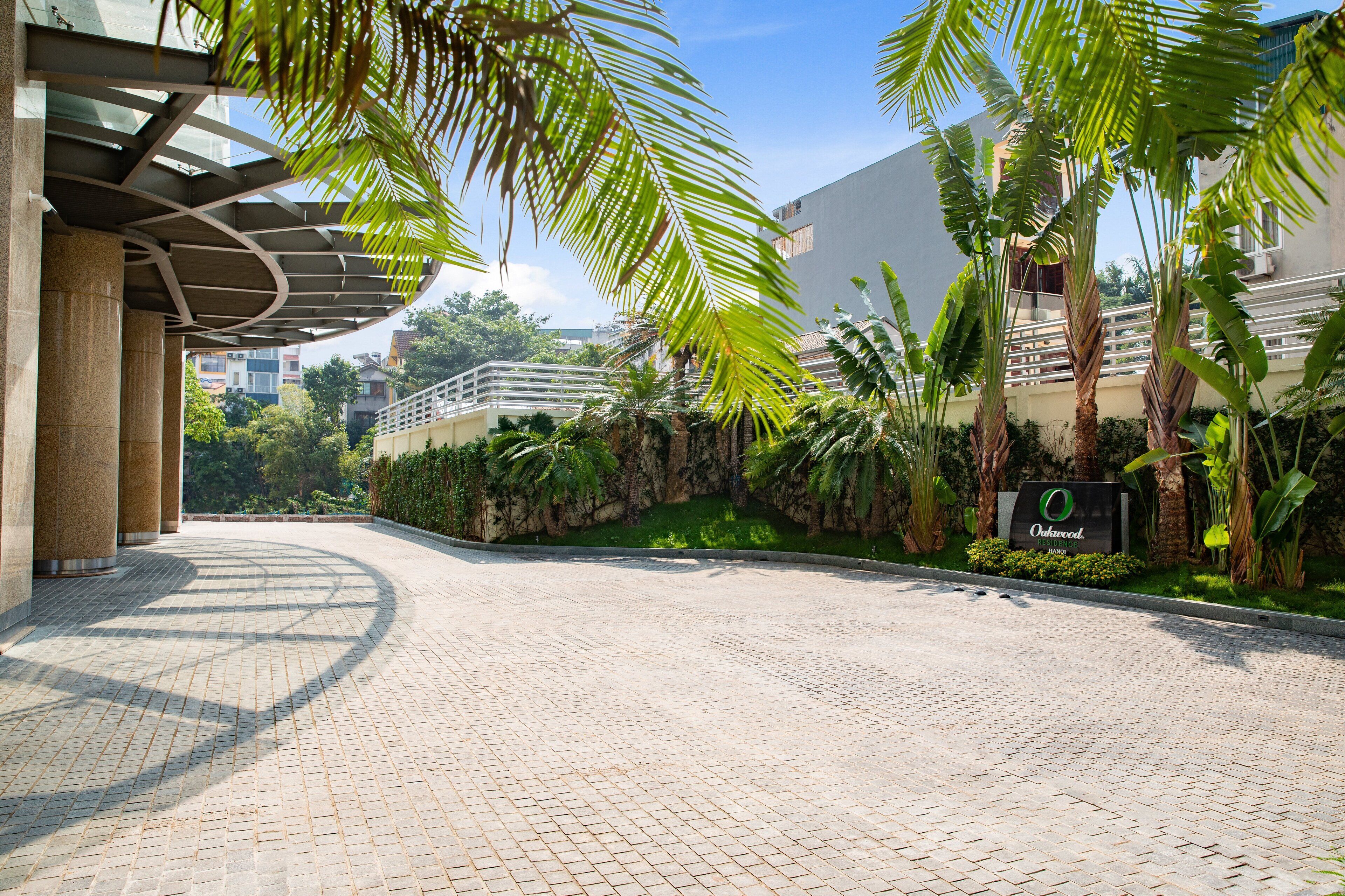 A paved walkway with palm trees and a sign for Odivecks.