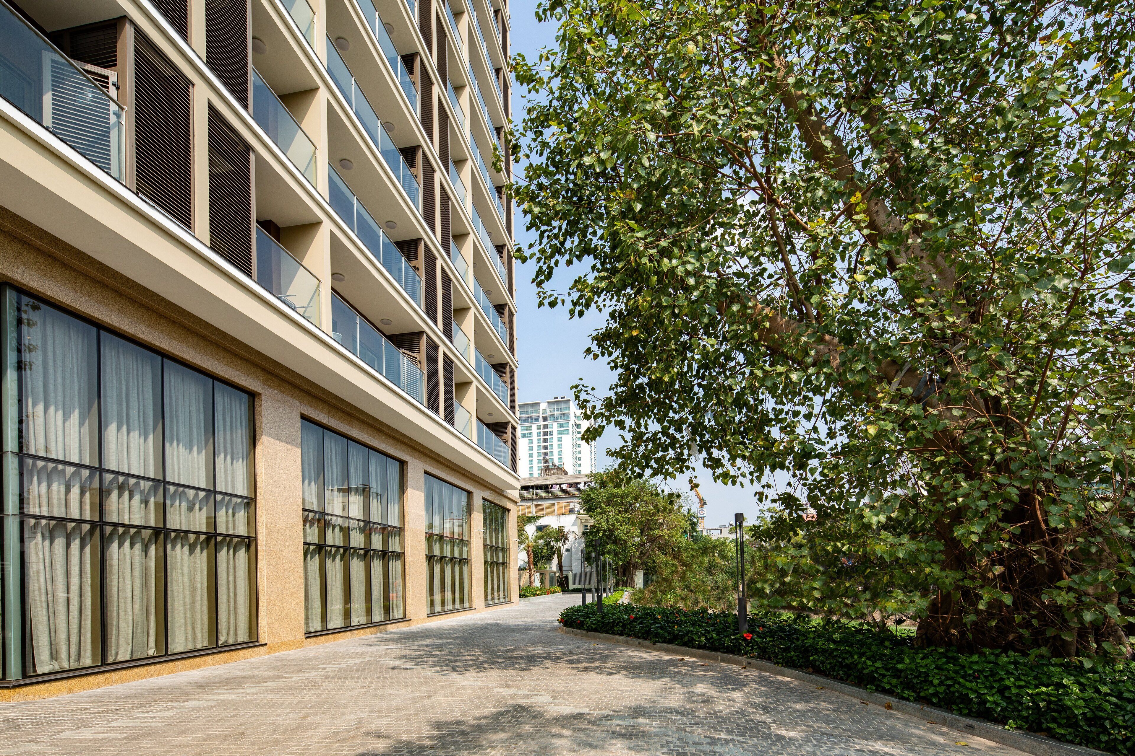 A modern building with large windows and a tree-lined pathway.