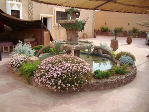 Garden - Kasbah Tasseurte (Nekob)