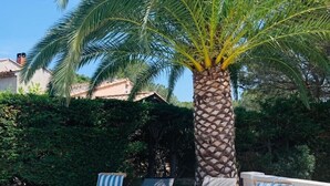 A sunny outdoor area with a palm tree, three wooden lounge chairs with striped cushions, and a tiled floor. - Private pool in Mediterranean house on the French Riviera (Roquebrune-sur-Argens)