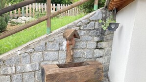 Immagine non classificata, 3 di 25, pulsante