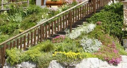 Soleil d'Adamello Brenta