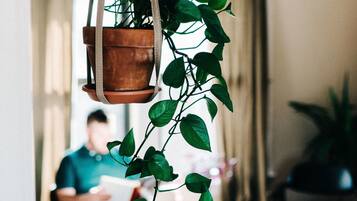 A living room with a hanging plant, a person reading, and a modern interior design.
