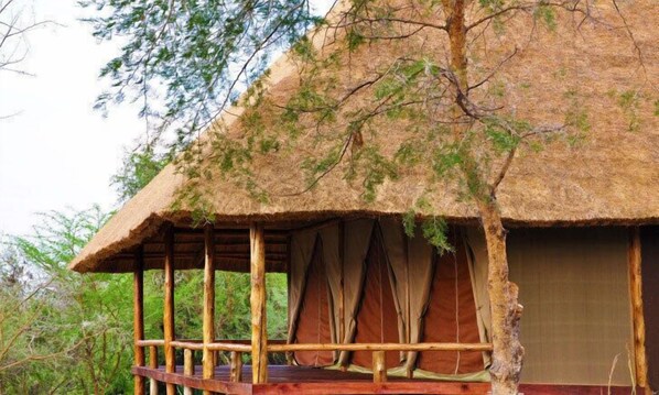 Egyptian cotton sheets, premium bedding, individually decorated - Kabalega Wilderness Lodge (Paraa)