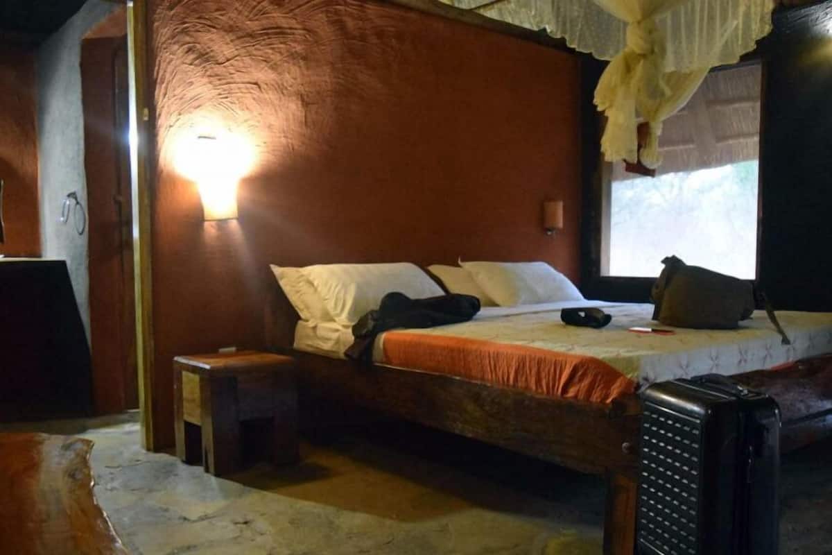 Cabane Deluxe, vue parc