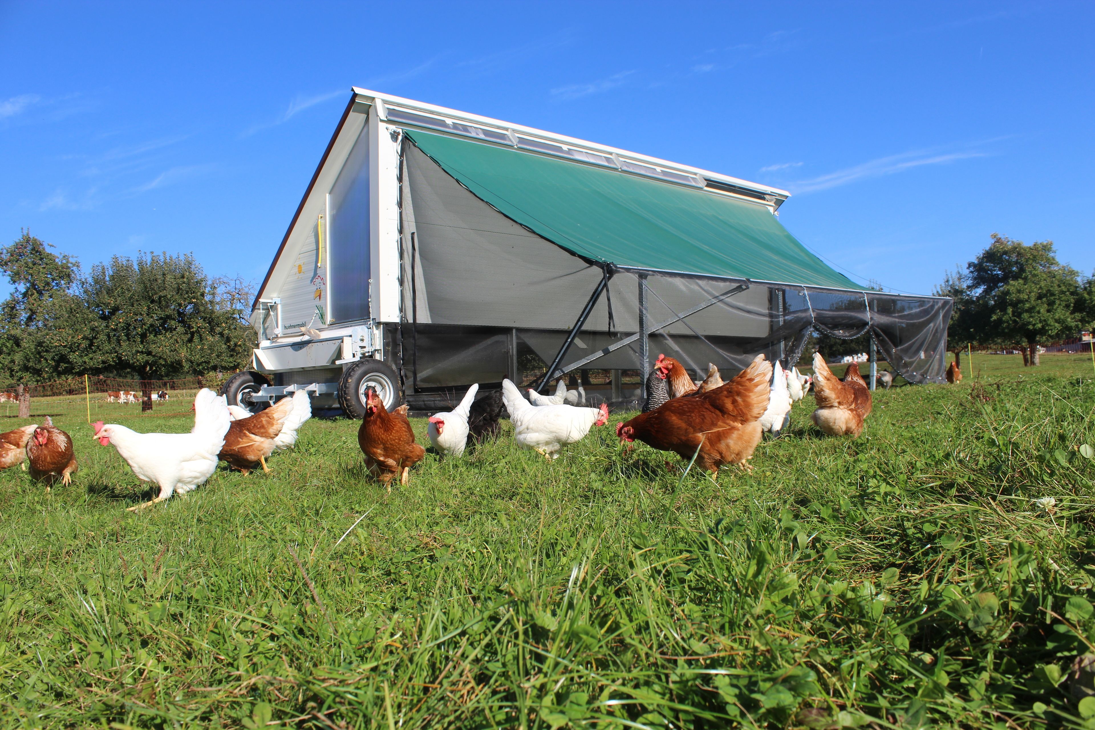 A mobile home with a green awning in a grassy field with chickens.