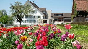 Una casa grande con un jardín lleno de tulipanes coloridos.