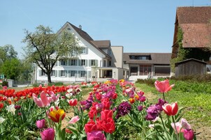 Uma casa grande com um jardim cheio de tulipas coloridas.