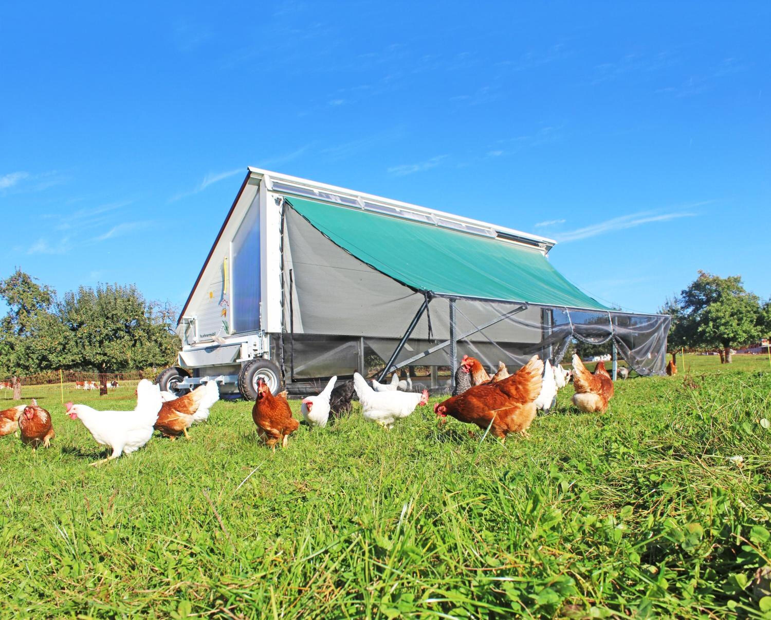 A mobile chicken coop with a green tarp roof in a grassy field.