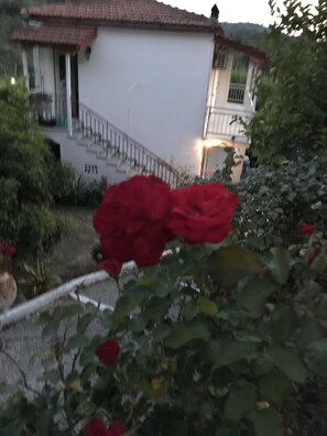 Ulkopuoli
