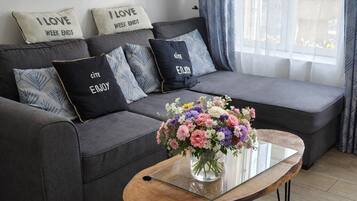 Televisio, kirjoja, stereot