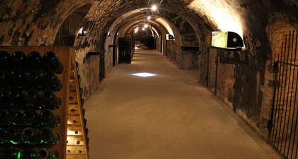 Quiet house in the middle of the Champagne vineyards with free parking in front