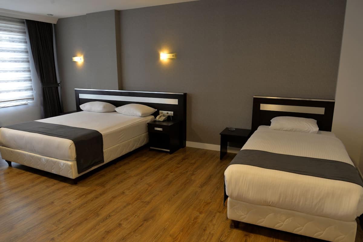 Deluxe Suite, City View