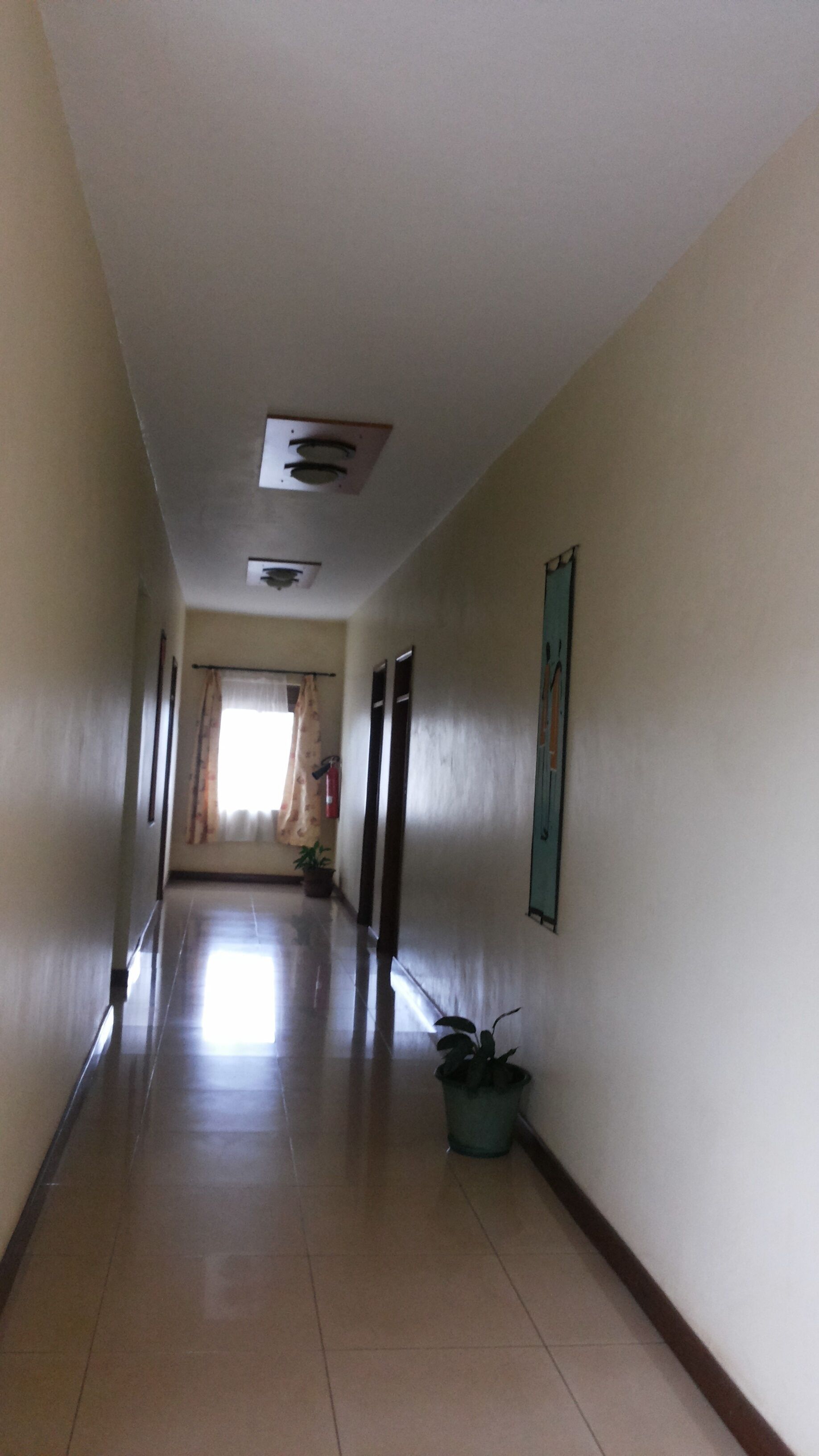 Un pasillo largo y estrecho con suelo de baldosas, un candelabro en el techo y una planta en maceta al lado derecho.