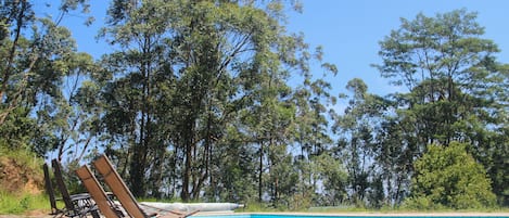 Outdoor pool, sun loungers