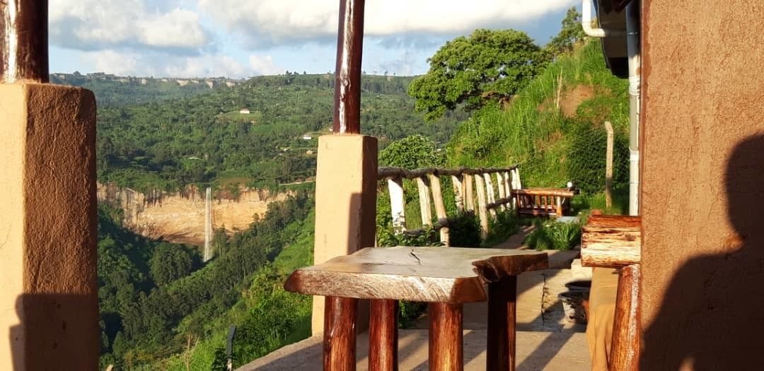 朝食、ランチ、ディナーに営業 (多国籍料理)