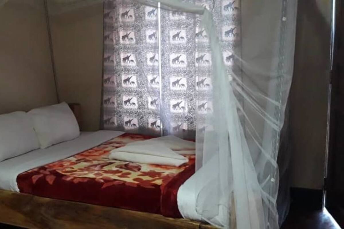 A single bed with a canopy, white bedding, and a red patterned bedspread.