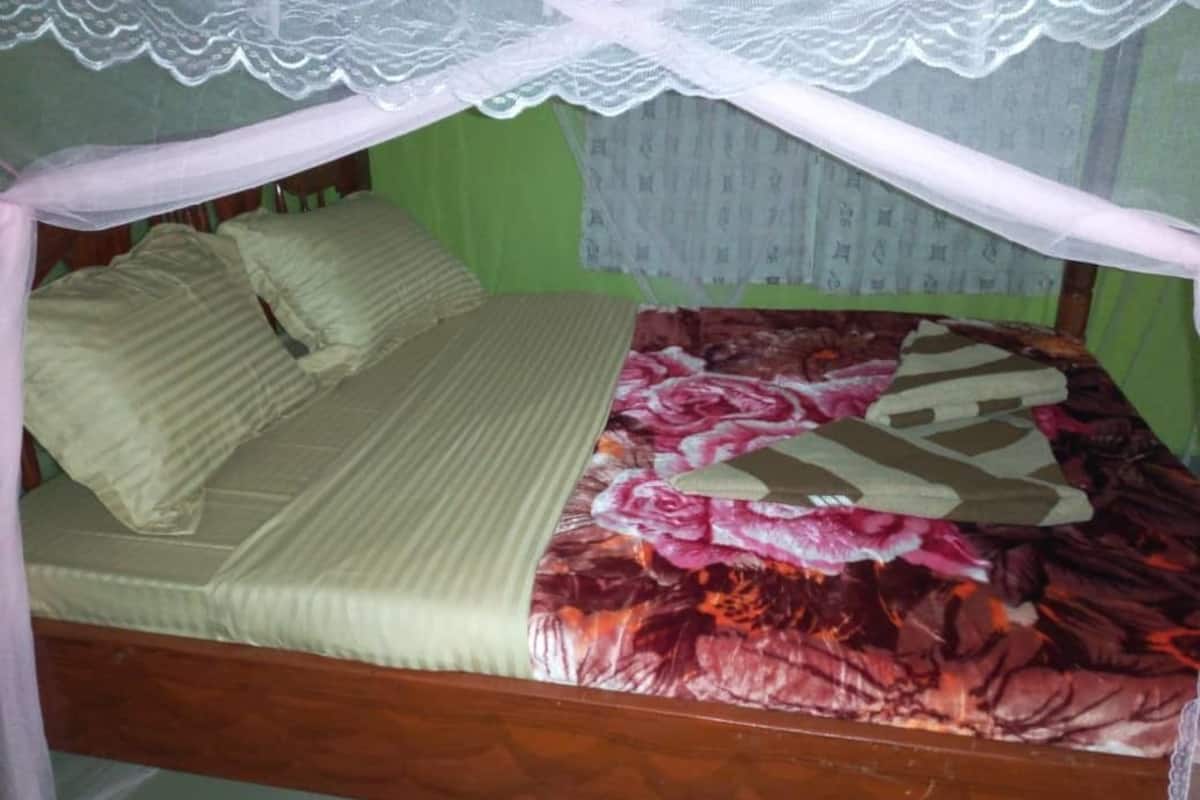 Standard Single Room, Shared Bathroom | Desk, blackout drapes, soundproofing, bed sheets