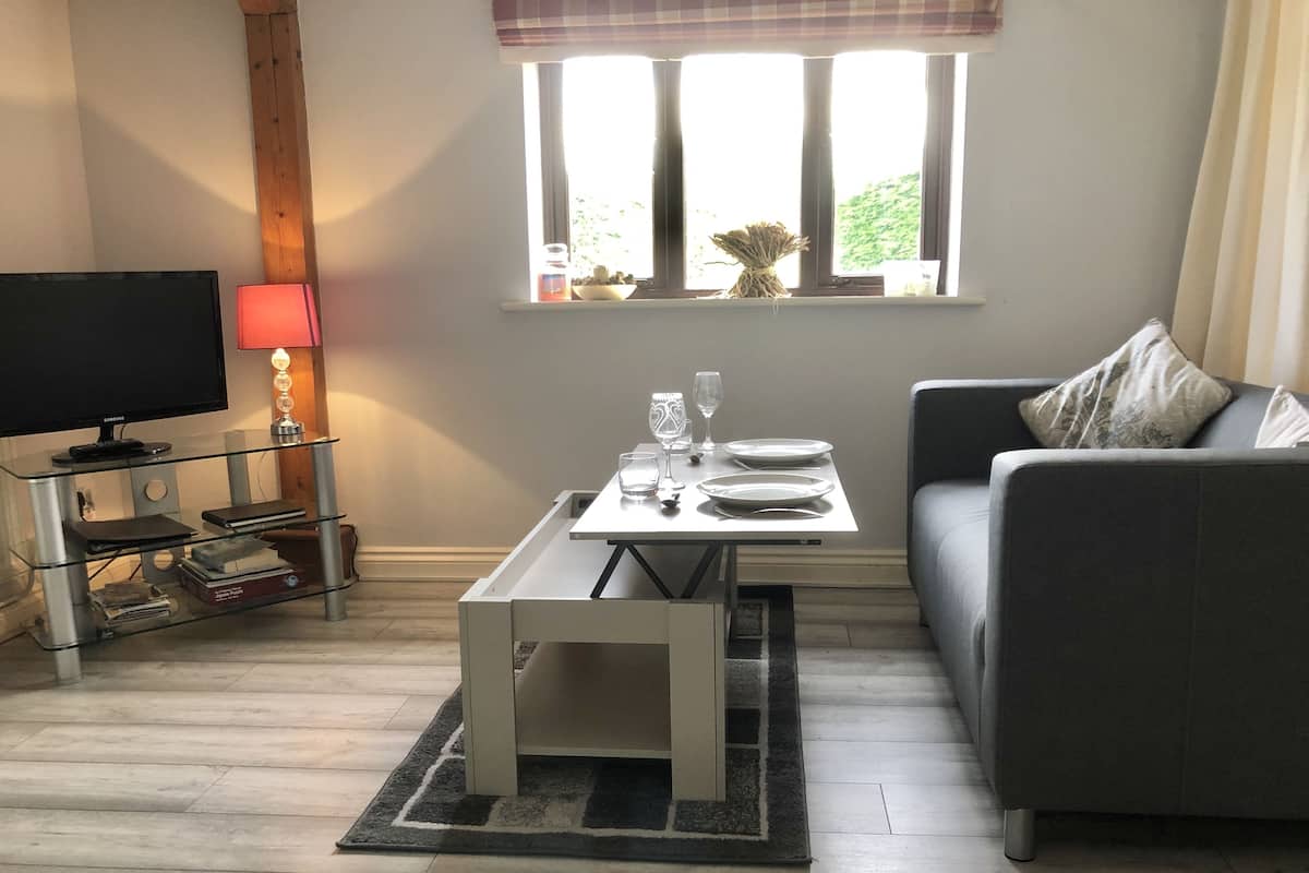 Een woonkamer met een televisie, een bijzettafeltje met een lamp, een bank en een raam met uitzicht op groen.