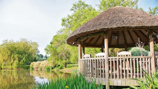 Een houten prieel met rieten dak, omgeven door weelderig groen en een rustig vijver.