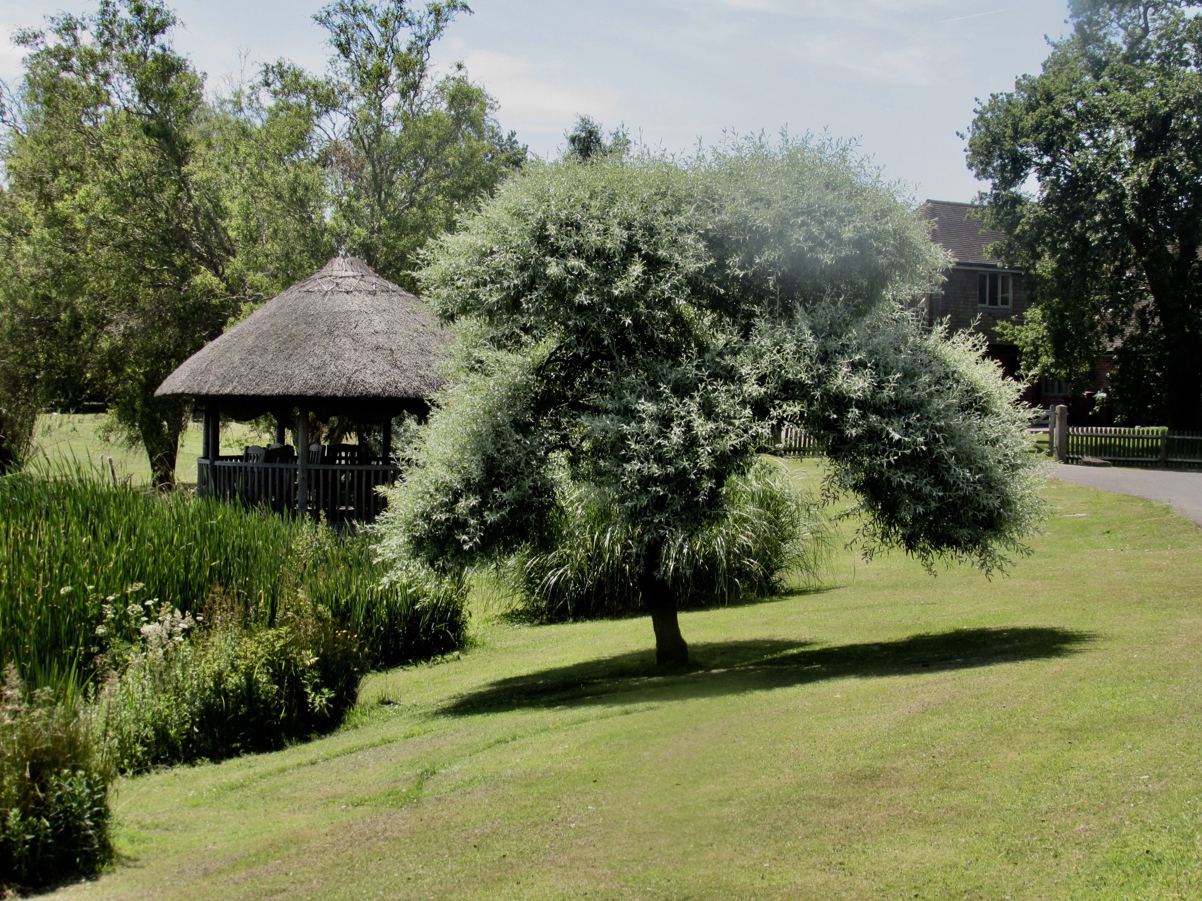 Un belvédère au toit de chaume, entouré d’une végétation luxuriante et d’une pelouse bien entretenue.