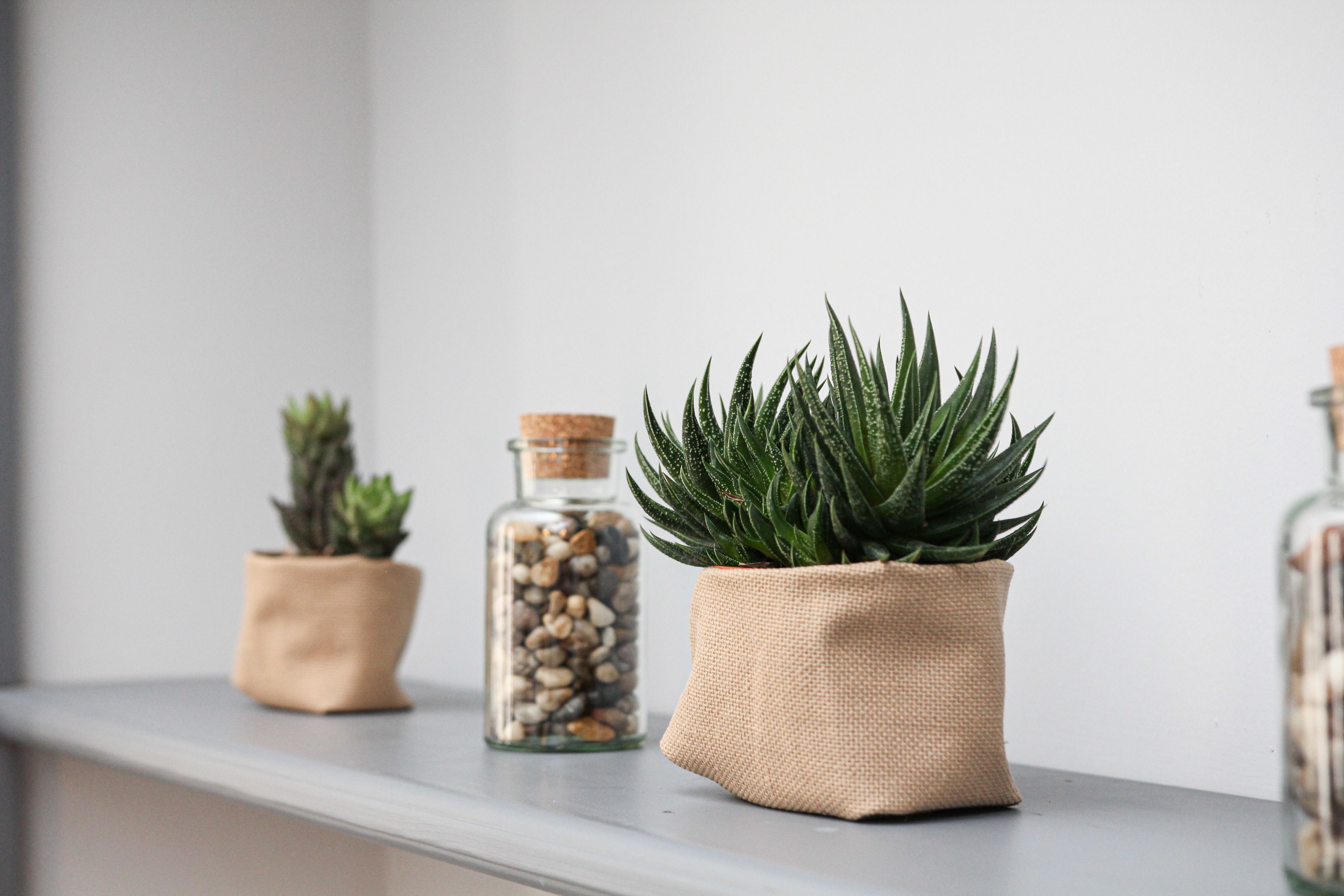A shelf with three potted plants, one in a burlap pot and two in fabric pots, and a glass bottle with pebbles.