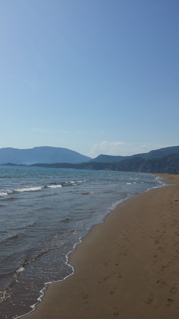 Vista a la playa o el mar