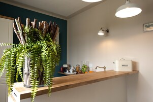 Apartment, 2 Bathrooms | Private kitchen | Fridge, coffee/tea maker, electric kettle