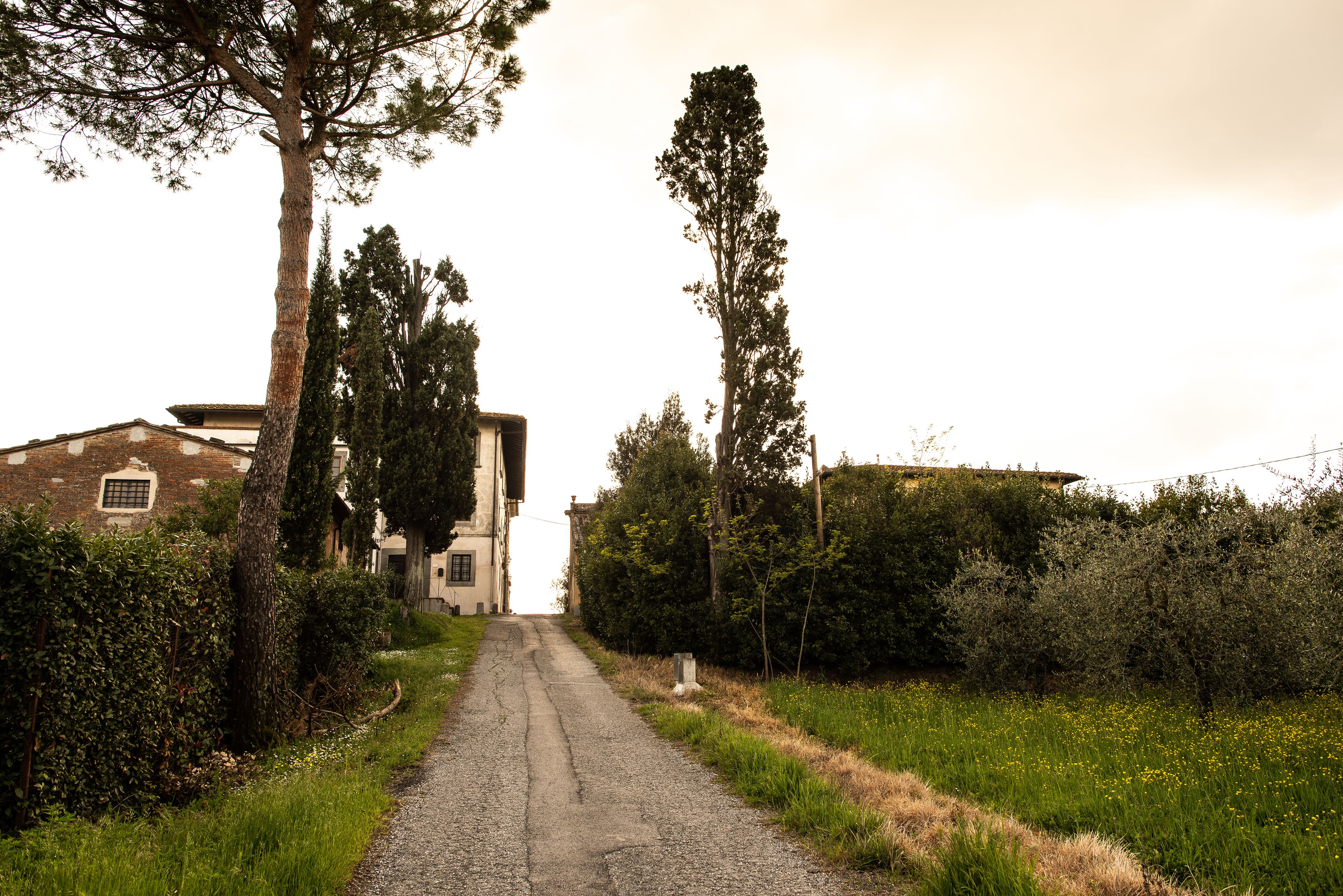 المنشأة من الخارج