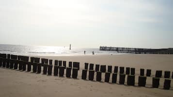 On the beach