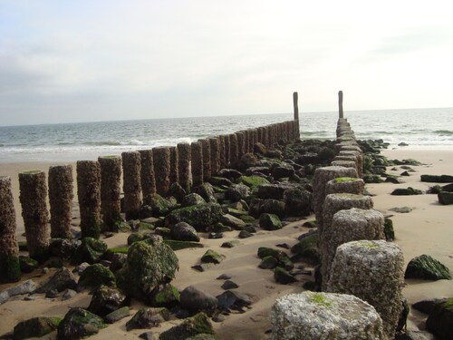 Niet-rokers leuk vakantiehuis op 100 m van de dijk in Westkapelle voor 2 tot 6 personen