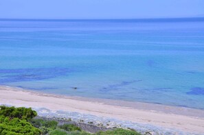 海灘