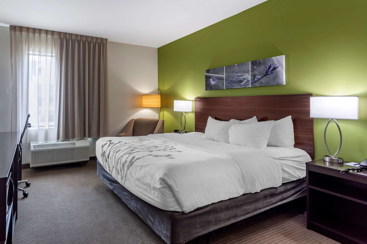 Quarto de hotel com uma cama grande, duas luminárias de cabeceira, uma televisão de tela plana, uma escrivaninha com luminária e um quadro na parede.