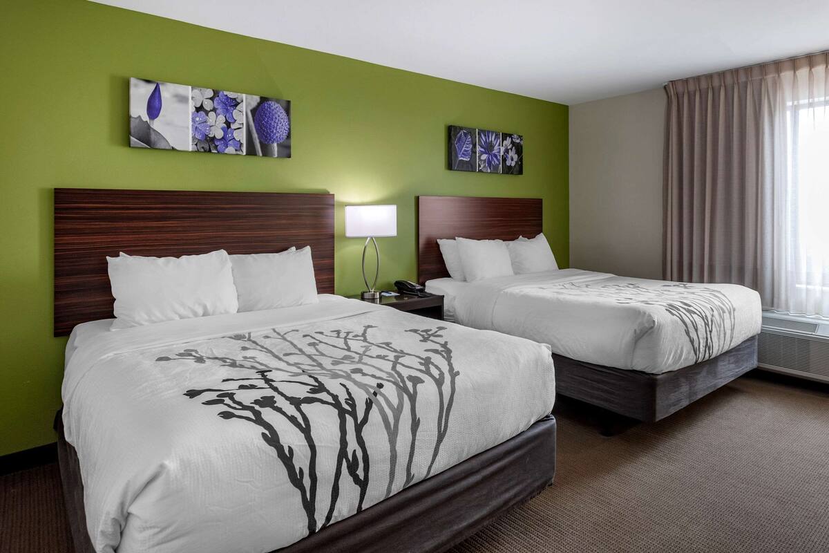 Quarto de hotel com duas camas, paredes verdes e obras de arte nas paredes.