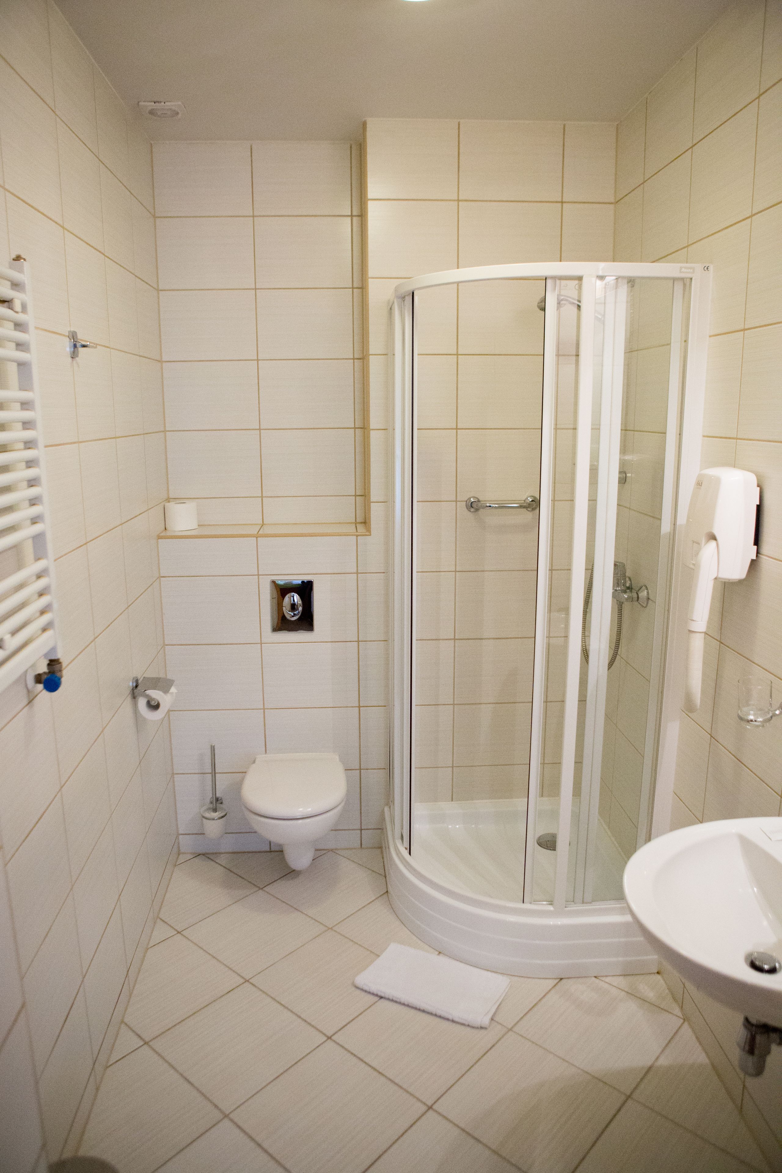 hair dryer, towels, soap, shampoo