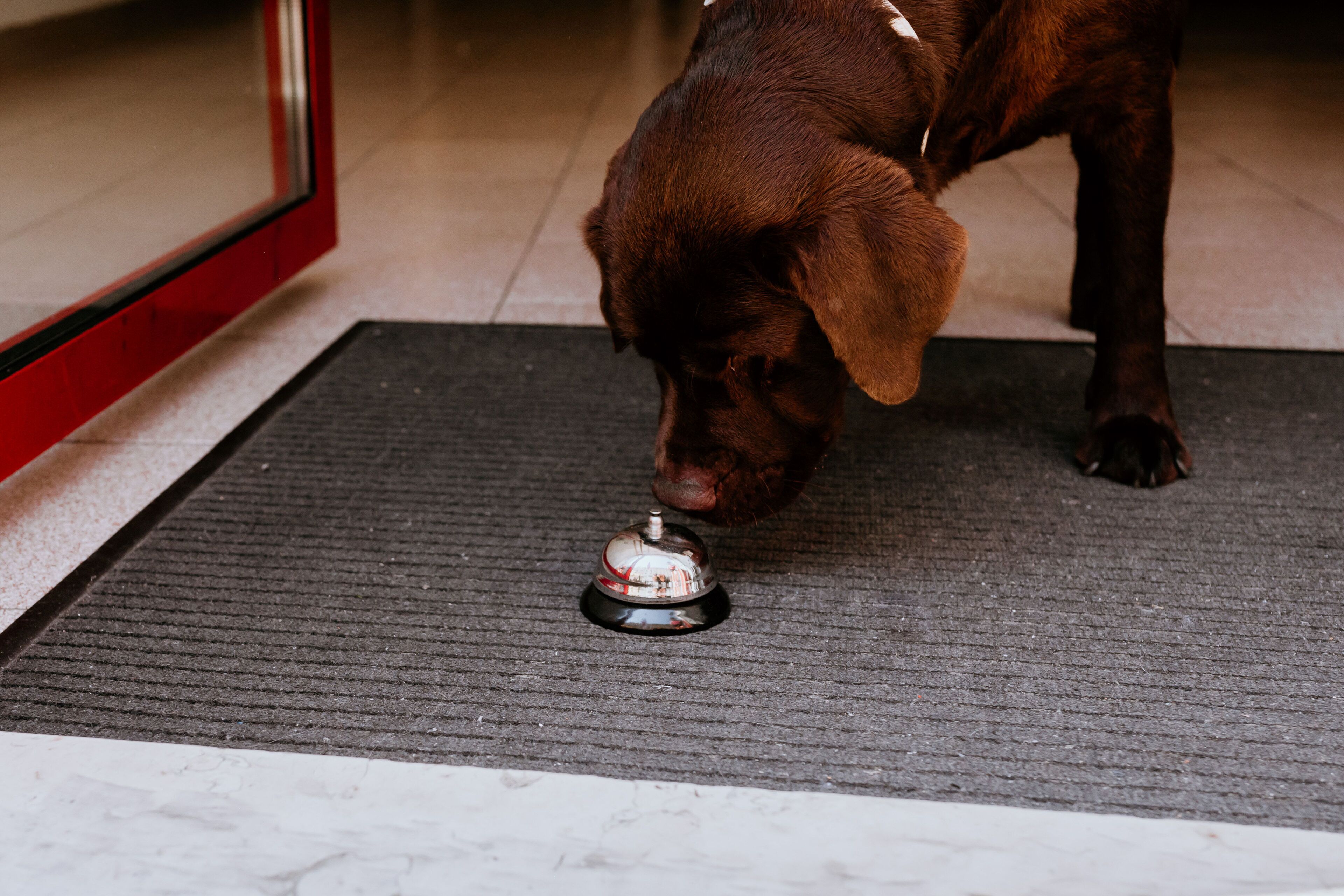 Foto - Hotel Venezia