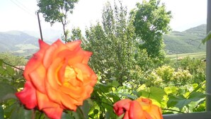 Unclassified image, 5 of 16, button - Anush B&B (Tatev)