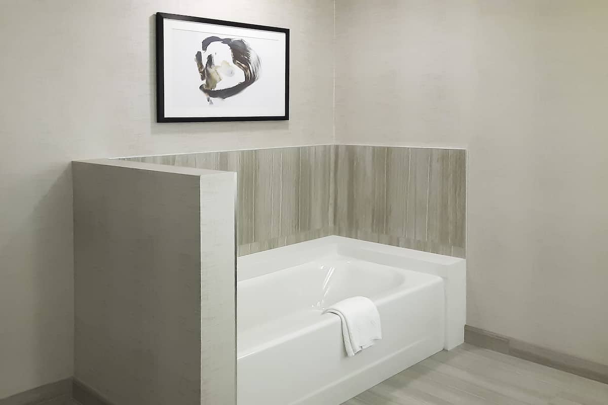 free toiletries, hair dryer, towels