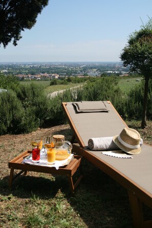 A sun lounger with a tray of food and drinks, a straw hat, and a view of a vineyard and distant buildings. - Galluzzo Ancient Country Villa (Casalecchio di Reno)