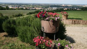 A garden with potted plants and a view of a cityscape in the background. - Galluzzo Ancient Country Villa (Casalecchio di Reno)