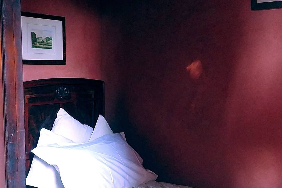 Single Room, Garden View | Frette Italian sheets, premium bedding, down comforters